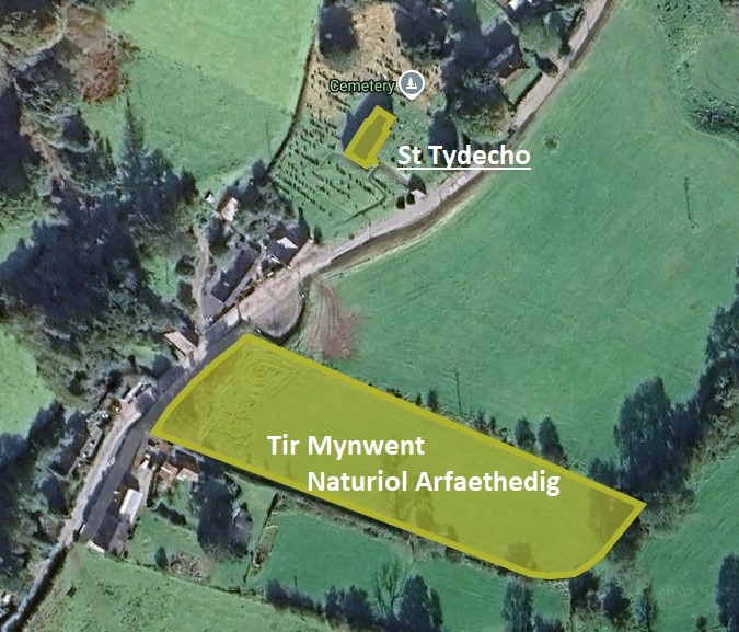 St Tydecho Burial Ground cy